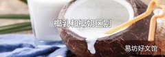椰乳和椰奶区别