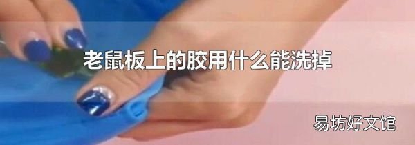 老鼠板上的胶用什么能洗掉