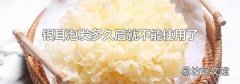 银耳泡发多久后就不能使用了