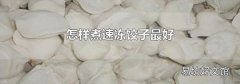 怎样煮速冻饺子最好