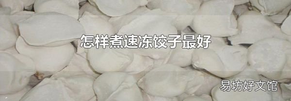 怎样煮速冻饺子最好