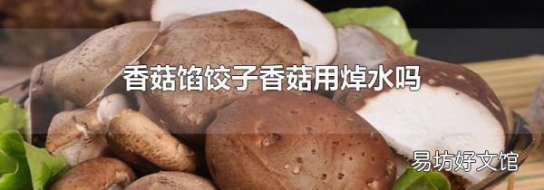 香菇馅饺子香菇用焯水吗