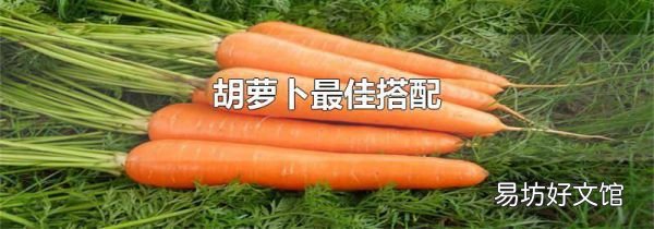 胡萝卜最佳搭配