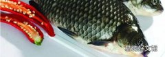 电烤箱烤鱼方法