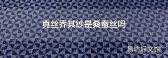 真丝乔其纱是桑蚕丝吗
