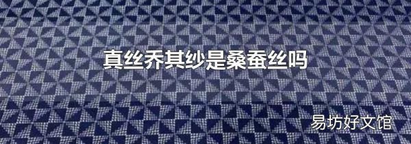 真丝乔其纱是桑蚕丝吗