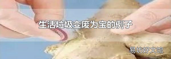 生活垃圾变废为宝的例子