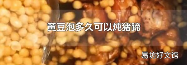 黄豆泡多久可以炖猪蹄
