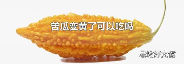 苦瓜變黃了可以吃嗎
