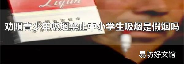 劝阻青少年吸烟禁止中小学生吸烟是假烟吗