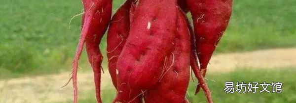 红薯汁沾在手上怎么办