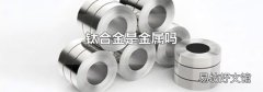 钛合金是金属吗