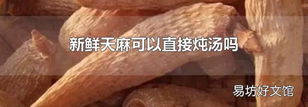 新鲜天麻可以直接炖汤吗