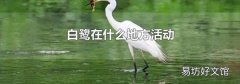 白鹭在什么地方活动