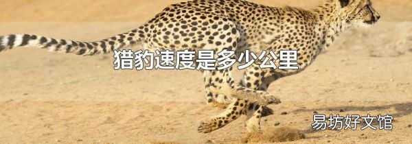 猎豹速度是多少公里
