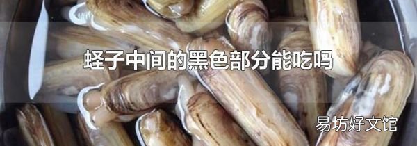 蛏子中间的黑色部分能吃吗