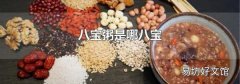八宝粥是哪八宝