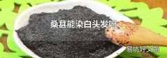 桑葚能染白头发吗