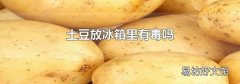 土豆放冰箱里有毒吗