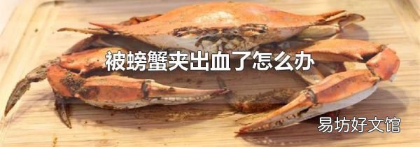 被螃蟹夹出血了怎么办