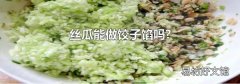 丝瓜能做饺子馅吗?