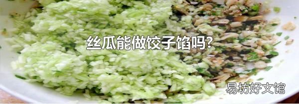 丝瓜能做饺子馅吗?