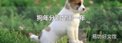 狗年是哪一年
