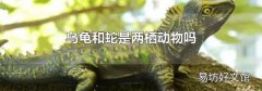 乌龟和蛇是两栖动物吗