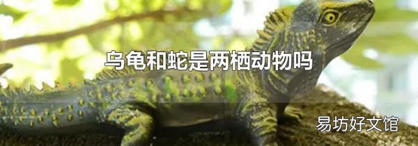 乌龟和蛇是两栖动物吗