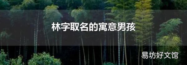 林字取名的寓意男孩