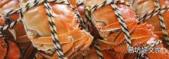 大闸蟹可不可以和牛肉一起吃