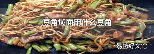 豆角焖面用什么豆角