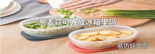 葱姜蒜可以放冰箱里吗