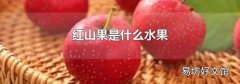 红山果是什么水果