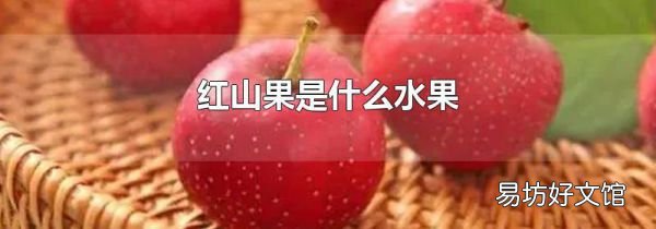 紅山果是什么水果