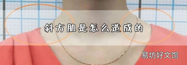 斜方肌是怎么造成的