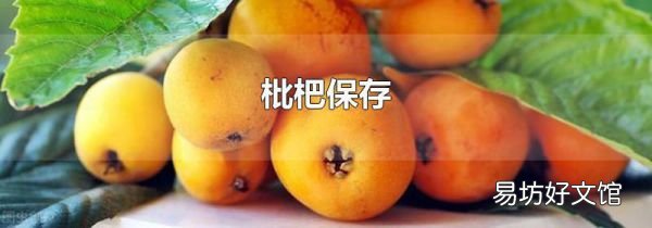 枇杷保存