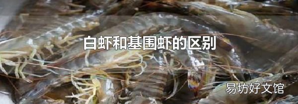 白虾和基围虾的区别