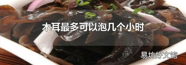 木耳最多可以泡几个小时