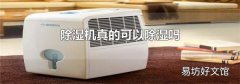 除湿机真的可以除湿吗