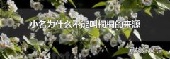 小名为什么不能叫桐桐的来源