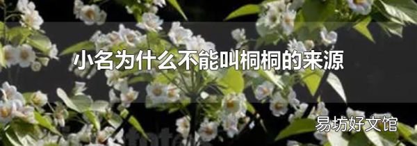 小名为什么不能叫桐桐的来源