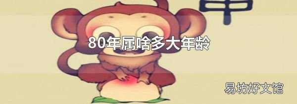 80年属啥多大年龄