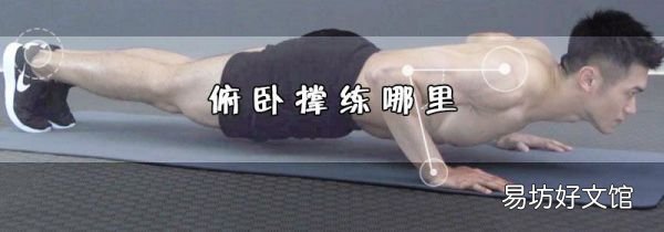 俯卧撑练哪里