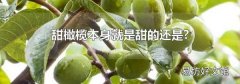 甜橄榄本身就是甜的还是?