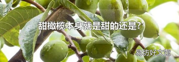 甜橄榄本身就是甜的还是?