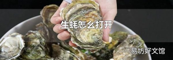 生蚝怎么打开