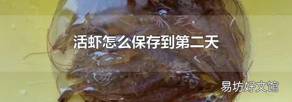 活虾怎么保存到第二天