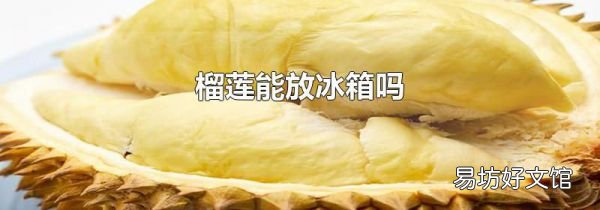 榴莲能放冰箱吗
