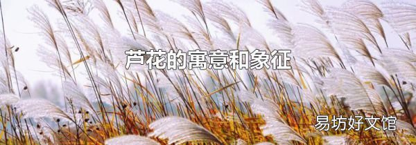 蘆花的寓意和象征